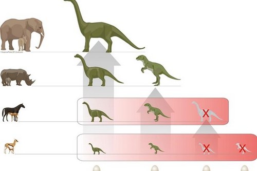 Dinosaurs died out after asteroid crash because they 

could not survive hatching out of eggs, study shows 