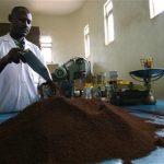 A worker prepares tins of ground coffee for local consumption in Tanzania, December 10, 2009. REUTERS/Katrina Manson