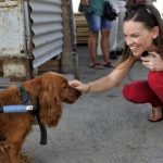 Hilary Swank fights for animal rights in Bucharest and stateside