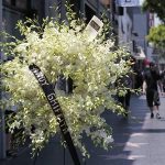 A wreath of flowers is pictured on the star of actor Andy Griffith on the Walk of Fame in Hollywood, California July 3, 2012. REUTERS/Mario Anzuoni