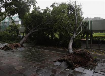 Fallen trees block a road after a typhoon in Hong Kong Fallen trees block a road after a typhoon in Hong Kong July 24, 2012. REUTERS/Bobby Yip