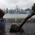 A man reacts while walking past an uprooted tree after Typhoon Vicente hit Hong Kong July 24, 2012. REUTERS/Tyrone Siu