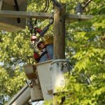 A lineman works to restore power to a neighborhood of Falls Church, Virginia July 3, 2012. REUTERS/Kevin Lamarque
