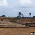 Liberia rainforest: '60% handed to logging companies'