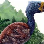 Giant Eocene bird was 'gentle herbivore', study finds