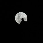 A man looks at the full moon atop a hill in Sydney June 14, 2003. REUTERS/David Gray