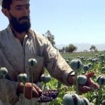 US blacklists Afghan airline accused of smuggling opium