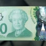 The new Canadian 20 dollar bill made of polymer is displayed at the Bank of Canada in Ottawa in this May 2, 2012, file photo. Canada is known for the sugar maple, emblazoned on its red-and-white flag, but the Bank of Canada has put what one careful botanist says is a foreign Norway maple leaf on its new currency. The untrained eye might not at first spot the difference between the maple leaf on the new $20, $50 and $100 bills and the sugar maple that is endemic to North America. REUTERS/Chris Wattie/Files