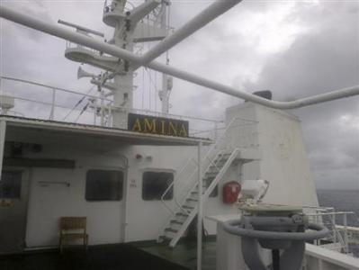MV Amina, an Iranian-flagged cargo ship, is seen in this undated photograph off Sri Lanka coast. REUTERS/Handout