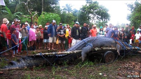 World's largest captive crocodile Lolong dies in Philippines