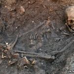 Richard III dig: DNA confirms bones are king