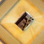Electronic implant designed to reduce obesity to undergo trials