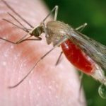 Malaria hotspots 'need new approach'