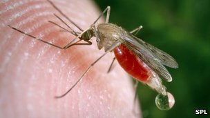 Malaria hotspots 'need new approach'