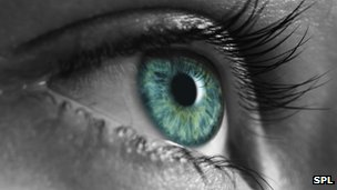 Macular degeneration: Cholesterol drugs 'may save sight