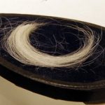 The lock of imperial white curled hair was kept in a blue velvet-lined box