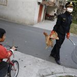 A city management officer holds a chicken as a boy rides past in a residential neighbourhood of Jiaxing, Zhejiang province, April 11, 2013. REUTERS/William Hong