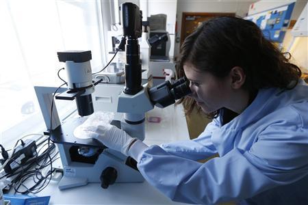 Graduate student Giulia Agliardi, from Milan, Italy, studies cancer cells in the Nanomedicine Lab at UCL's School of Pharmacy in London May 2, 2013. REUTERS/Suzanne Plunkett