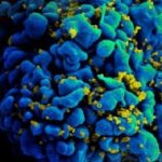 Scientists on brink of HIV cure within months