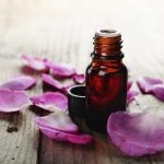 The benefits of rose oil