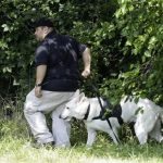 An investigator and his dog search a wooded area Sunday, July 21, 2013 near where three bodies were recently found in East Cleveland, Ohio. Searchers rummaging through vacant houses in a neighborhood where three female bodies were found wrapped in plastic bags should be prepared to find one or two more victims, a police chief said Sunday. (AP Photo/Tony Dejak)