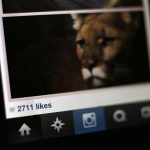 The number of likes on an Instagram photo are pictured on a mobile device screen in Pasadena