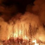 california wildfire