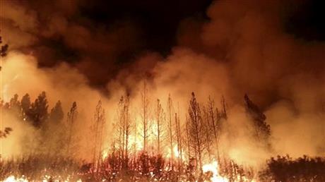 california wildfire
