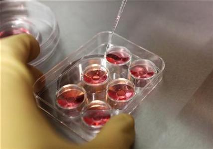 An employee demonstrates the process to extract eggs in a lab at the e-Stork Reproductive Center in Hsinchu