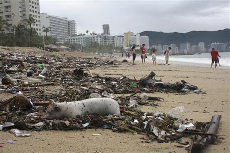 A dead pig lies among debris on a beach in Acapulco