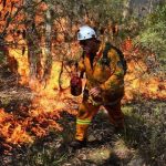 Australia fire