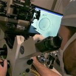 Embryologist Rick Slifkin