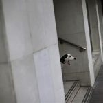 A dog yawns as it looks at people passing by at a street in central Madrid