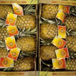 Operations At A Specialty Produce Warehouse Ahead Of GDP Figures