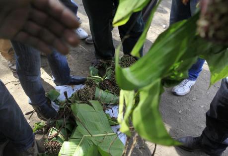People crowd to pick their choice of qat sticks at an open air wholesale market in Kenya's capital Nairobi