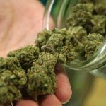 Marijuana