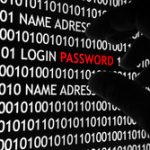 German security - Password theft