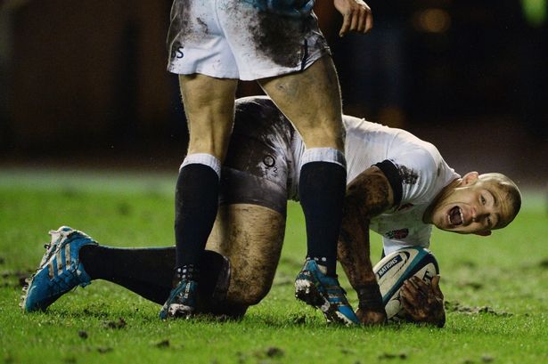 Looking up: Mike Brown - Getty images