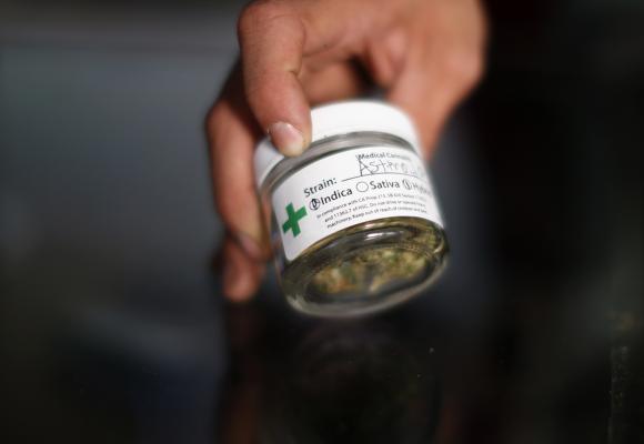 A volunteer displays cannabis buds at the La Brea Collective medical marijuana dispensary in Los Angeles