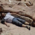 Argentina Giant Dinosaur
