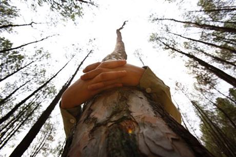 A Nepalese student hugs a tree during a mass tree hugging on the World Environment Day