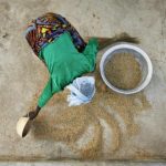 A woman from the Daborin Single Mothers Association gathers rice at a small processing plant in the northern Ghanaian town of Bolgatanga