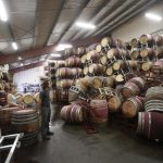 Man surveys fallen wine barrels after a 6.0 earthquake in Napa