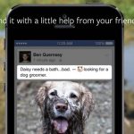 facebook