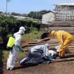 Health workers remove the body a woman who died of Ebola virus in the Aberdeen district of Freetown