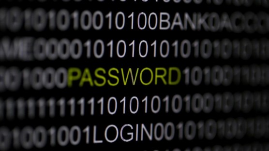 Mysterious malware - File photo. (REUTERS/Pawel Kopczynski)