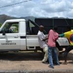 poisonous home brew in Mozambique - cnn.com