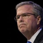 Jeb Bush