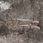 The leg bones