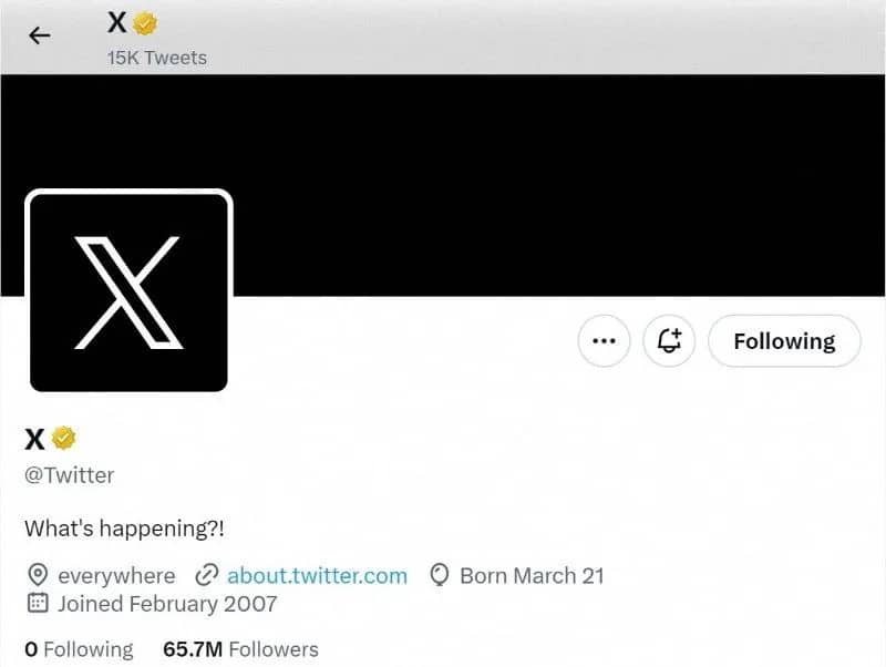 A screen capture of Twitter's official page with an "X" on the profile image is seen on July 23, 2023 in this screengrab obtained from a social media website. via REUTERS/File Photo